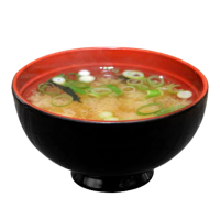 SOPA MISO